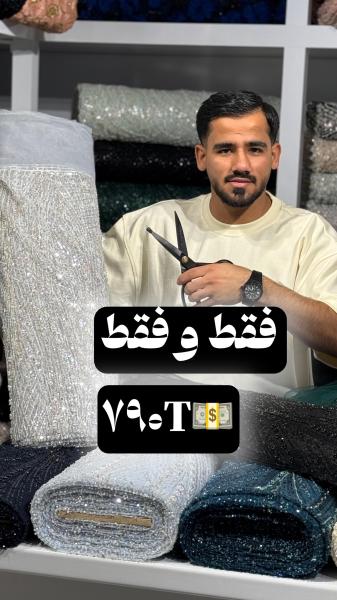 مجلسی زیتون