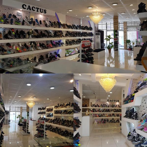 فروشگاه کفش کاکتوس