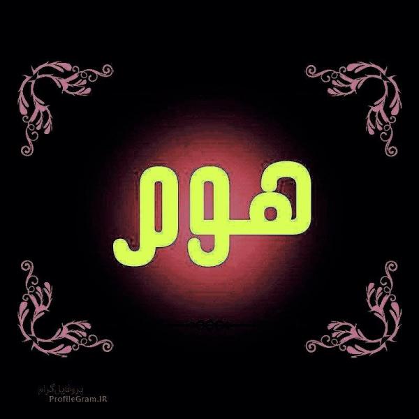 فروشگاه هومر